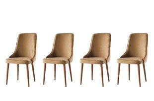 Komplektis 4 tooli Kalune Design Seyhan, pruun hind ja info | Köögitoolid, söögitoolid | hansapost.ee