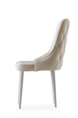 Komplektis 4 tooli Kalune Design Seyhan, beež/valge hind ja info | Köögitoolid, söögitoolid | hansapost.ee