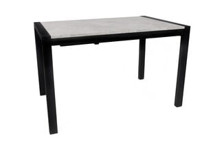 Обеденный стол Asir Silva - 1013, серый/черный цена и информация | Кухонные и обеденные столы | hansapost.ee