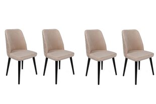4 tooliga komplekt Kalune Design Tutku 306 V4, beež hind ja info | Köögitoolid, söögitoolid | hansapost.ee