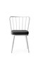 4 tooliga komplekt Kalune Design Yildiz 962 V4, hall/valge hind ja info | Köögitoolid, söögitoolid | hansapost.ee