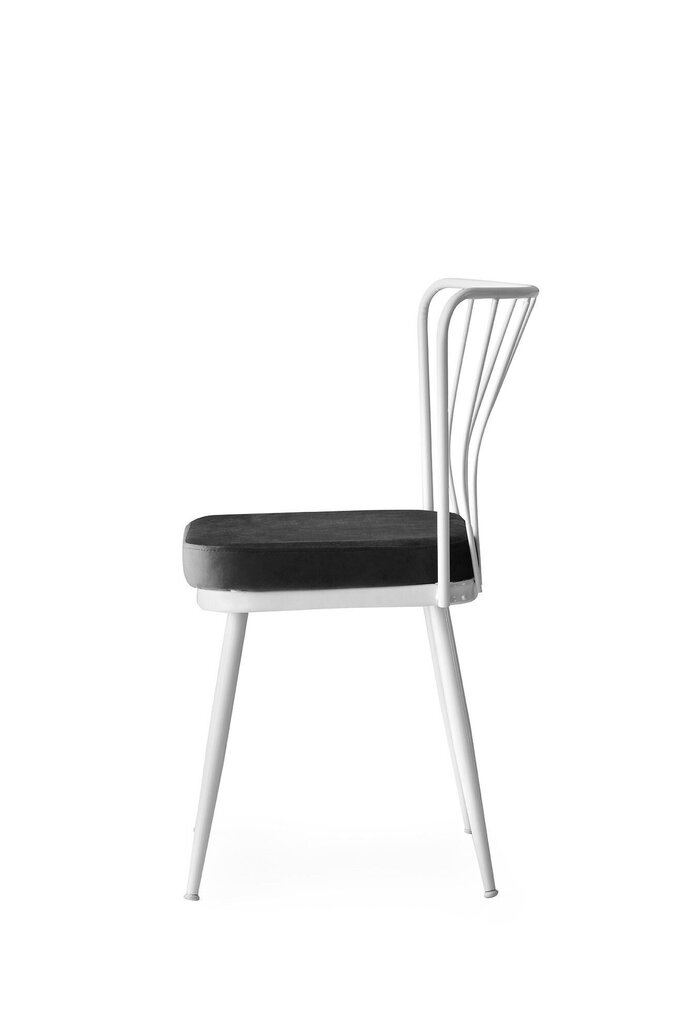 4 tooliga komplekt Kalune Design Yildiz 962 V4, hall/valge hind ja info | Köögitoolid, söögitoolid | hansapost.ee