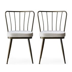 2 tooliga komplekt Kalune Design Yildiz 985 V2, valge/pruun hind ja info | Köögitoolid, söögitoolid | hansapost.ee