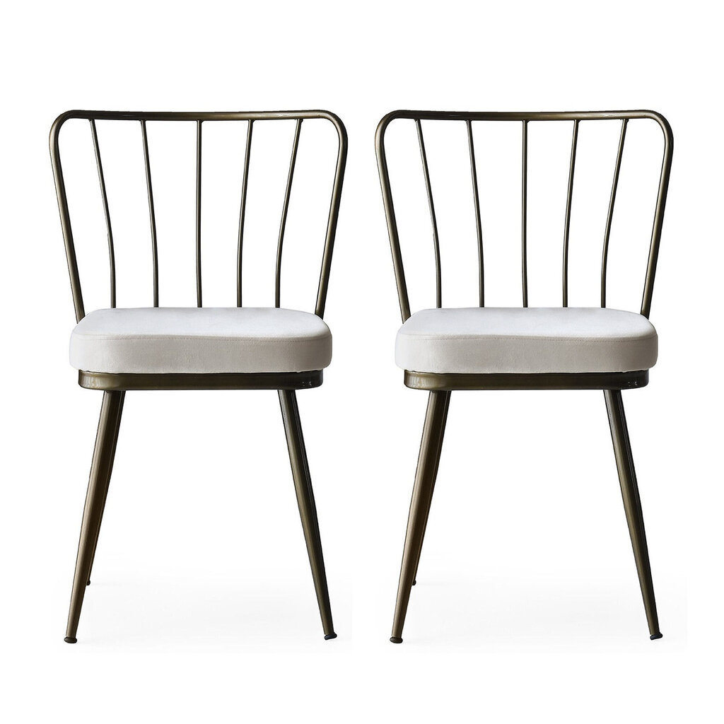2 tooliga komplekt Kalune Design Yildiz 985 V2, valge/pruun цена и информация | Köögitoolid, söögitoolid | hansapost.ee