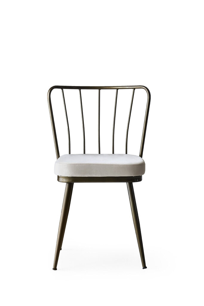2 tooliga komplekt Kalune Design Yildiz 985 V2, valge/pruun цена и информация | Köögitoolid, söögitoolid | hansapost.ee