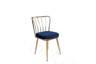 комплект из 2 стульев Kalune Design Yildiz 924 V2, синий/золотой цена и информация | Стулья для кухни и столовой | hansapost.ee