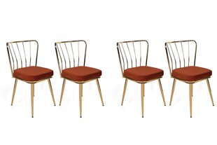 4 tooliga komplekt Kalune Design Yildiz 924 V4, oranž hind ja info | Köögitoolid, söögitoolid | hansapost.ee