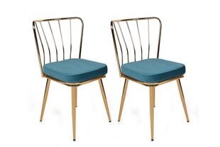 Komplektis 2 tooli Kalune Design Yildiz 929 V2, sinine/kuldne hind ja info | Köögitoolid, söögitoolid | hansapost.ee