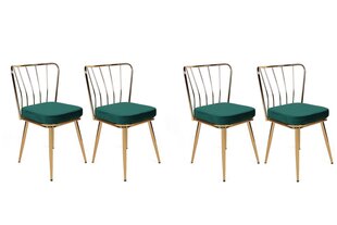 Комплект из 4 стульев Kalune Design Yildiz 930 V4, зеленый цена и информация | Стулья для кухни и столовой | hansapost.ee