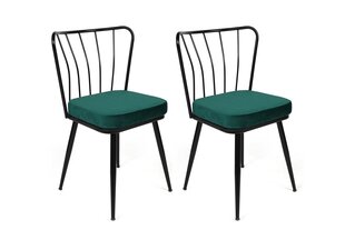 2 tooliga komplekt Kalune Design Yildiz 951 V2, roheline/must hind ja info | Köögitoolid, söögitoolid | hansapost.ee
