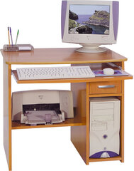 Kirjutuslaud Olcha Medium, pruun цена и информация | Компьютерные, письменные столы | hansapost.ee
