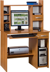 Письменный стол Olcha Kubi Max, коричневый цена и информация | Компьютерные, письменные столы | hansapost.ee