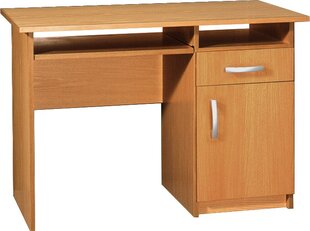 Письменный стол Olcha Jas 2, коричневый цена и информация | Компьютерные, письменные столы | hansapost.ee