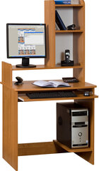 Письменный стол Olcha Medium Max, коричневый цена и информация | Компьютерные, письменные столы | hansapost.ee
