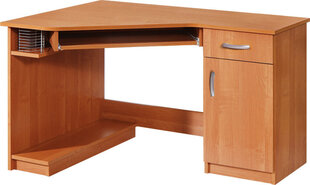 Письменный стол Olcha Carmen P, коричневый цена и информация | Компьютерные, письменные столы | hansapost.ee