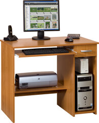 Письменный стол Olcha Saturn, коричневый цена и информация | Компьютерные, письменные столы | hansapost.ee