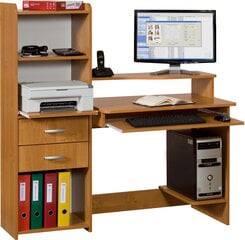 Письменный стол Olcha Kuba, коричневый цена и информация | Компьютерные, письменные столы | hansapost.ee