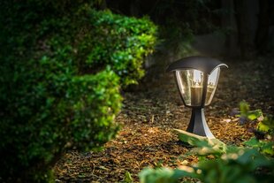 Светильник садовый MARINA, чёрный цена и информация | Уличные светильники | hansapost.ee