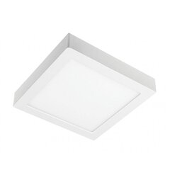 Lamp, LED, 12W, 960Lm, 4000K, v/a, IP54, kandiline, valge цена и информация | Монтируемые светильники, светодиодные панели | hansapost.ee