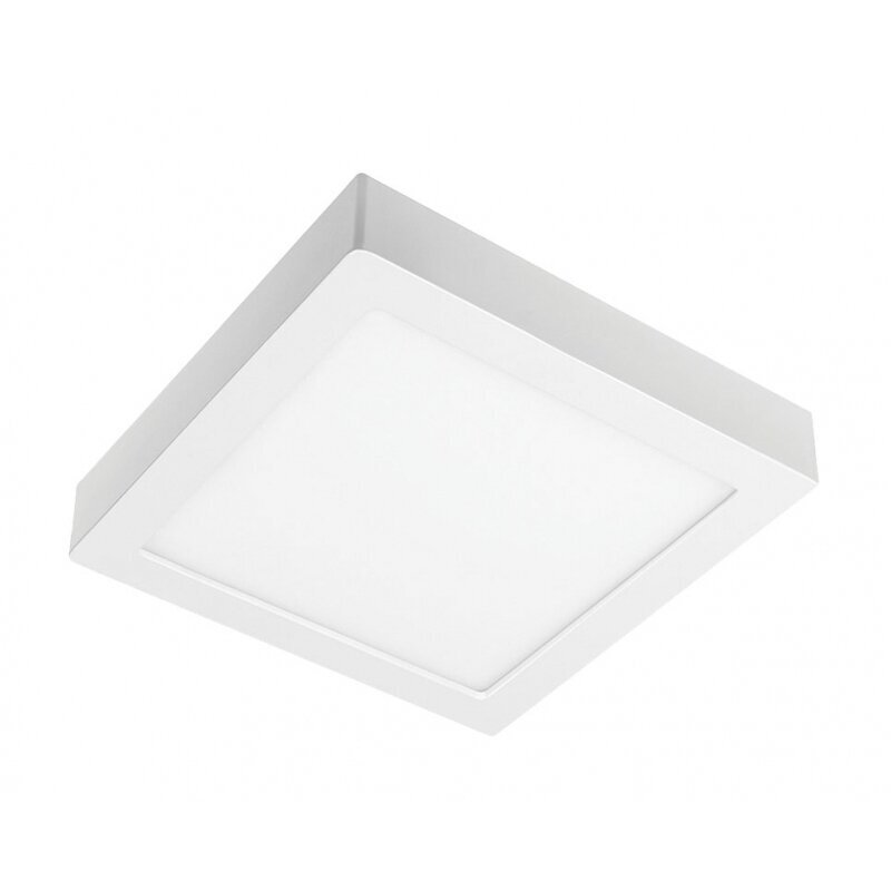 Lamp, LED, 12W, 960Lm, 4000K, v/a, IP54, kandiline, valge цена и информация | Süvistatavad LED valgustid | hansapost.ee