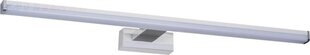Настенный светодиодный светильник Asten LED IP44 12W-NW цена и информация | Настенный светильник Конусы | hansapost.ee
