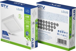 Lamp, LED, 6W, 480Lm, 4000K, v/a, IP54, kandiline, valge цена и информация | Монтируемые светильники, светодиодные панели | hansapost.ee