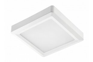 Lamp, LED, 24W, 1920Lm, 4000K, v/a, IP54, kandiline, valge hind ja info | Süvistatavad LED valgustid | hansapost.ee