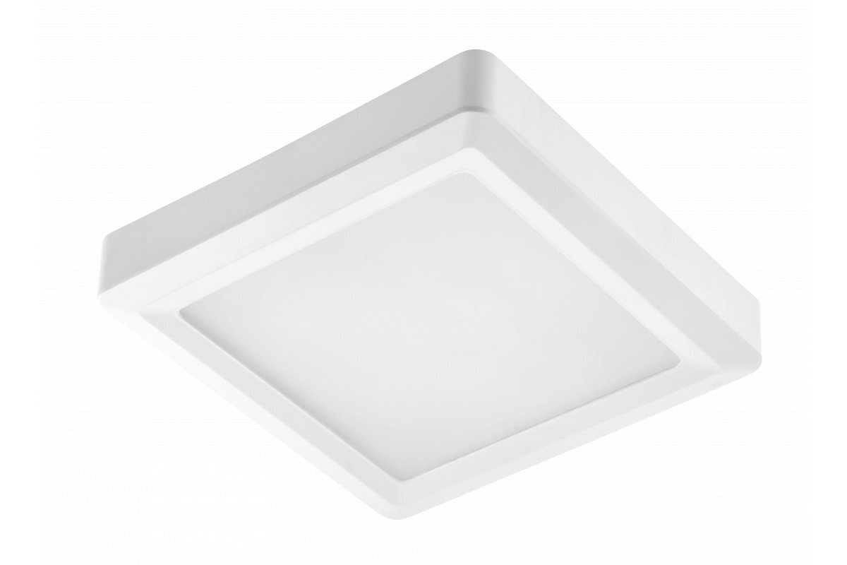 Lamp, LED, 24W, 1920Lm, 4000K, v/a, IP54, kandiline, valge цена и информация | Süvistatavad LED valgustid | hansapost.ee