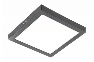 Светильник LED MATIS PLUS, 24W, черный, 3000K, 2000lm, AC220-240V, IP20 цена и информация | Монтируемые светильники, светодиодные панели | hansapost.ee