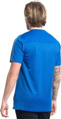 T-särk Nike AA2046-463, L, sinine hind ja info | Jalgpalli varustus ja riided | hansapost.ee