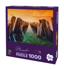 Pusle Purple Witty Fox Latvija, Košrags 19912 m, 1000 d. цена и информация | Пазлы | hansapost.ee