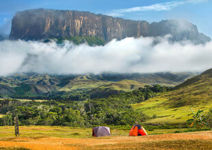 Pusle Purple Witty Fox Roraima, Venezuela, 1000 d. цена и информация | Purple Witty Fox Детям от 3 лет | hansapost.ee