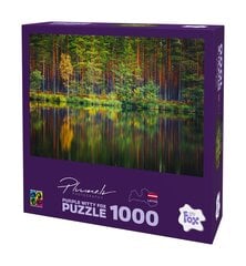 Pusle Purple Witty Fox Mārtiņš Plūme Latvia, Garezeri, 1000 d. цена и информация | Пазлы | hansapost.ee