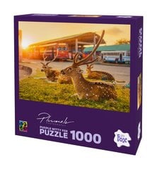 Pusle Purple Witty Fox Šri Lanka, Trincomalee, 1000 d. цена и информация | Пазлы | hansapost.ee