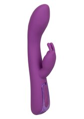 Vibraator Elite Warming Rabbit, lilla price and information | Vibrators | hansapost.ee