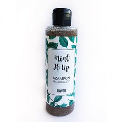 Mint It Up kooriv šampoon juustele 200ml hind ja info | Šampoonid | hansapost.ee