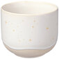 Villeroy & Boch tass Winter Glow, 260 ml hind ja info | Klaasid, kruusid ja kannud | hansapost.ee