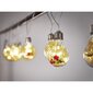 LED-tuled 3m 50 LED soe valgus цена и информация | Jõulutuled | hansapost.ee
