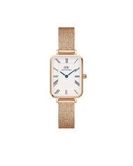 Naiste käekell Daniel Wellington Quadro price and information | Käekellad naistele | hansapost.ee