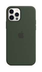 Telefoniümbris Apple MagSafe telefonile Apple iPhone 12 Pro Max, roheline цена и информация | Чехлы для телефонов | hansapost.ee