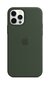 Telefoniümbris Apple MagSafe telefonile Apple iPhone 12 Pro Max, roheline цена и информация | Telefonide kaitsekaaned ja -ümbrised | hansapost.ee