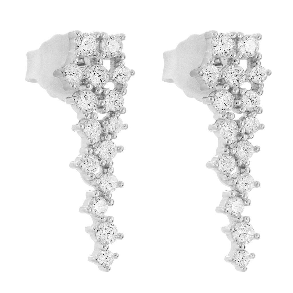 Hõbedast kõrvarõngad naistele цена и информация | Kõrvarõngad | hansapost.ee