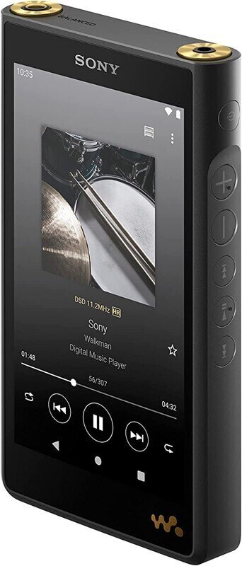 Sony NW-WM1AM2 Walkman цена и информация | MP3-mängijad, MP4-mängijad | hansapost.ee