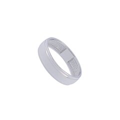 Cеребряное кольцо цена и информация | Кольцо | hansapost.ee
