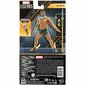 Figuur Hasbro Namor цена и информация | Mänguasjad poistele | hansapost.ee