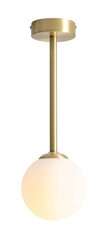 Потолочный светильник Aldex Pinne цена и информация | Потолочные светильники | hansapost.ee