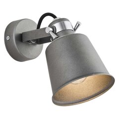 Настенный светильник Argon цена и информация | Настенные светильники | hansapost.ee