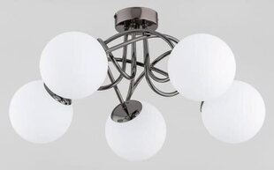 Потолочный светильник Alfa Banko цена и информация | Потолочные светильники | hansapost.ee