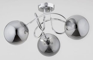 Потолочный светильник Alfa Banko цена и информация | Потолочные светильники | hansapost.ee