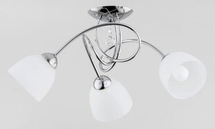 Потолочный светильник Alfa Balena цена и информация | Потолочные светильники | hansapost.ee